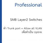วิธีทำ Trunk Port cisco switch และ Allow VLAN all