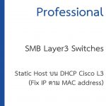 Fix IP ตาม MAC address บน DHCP server cisco layer3 switch